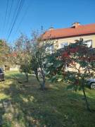 Komárom-Esztergom megye - Tatabánya