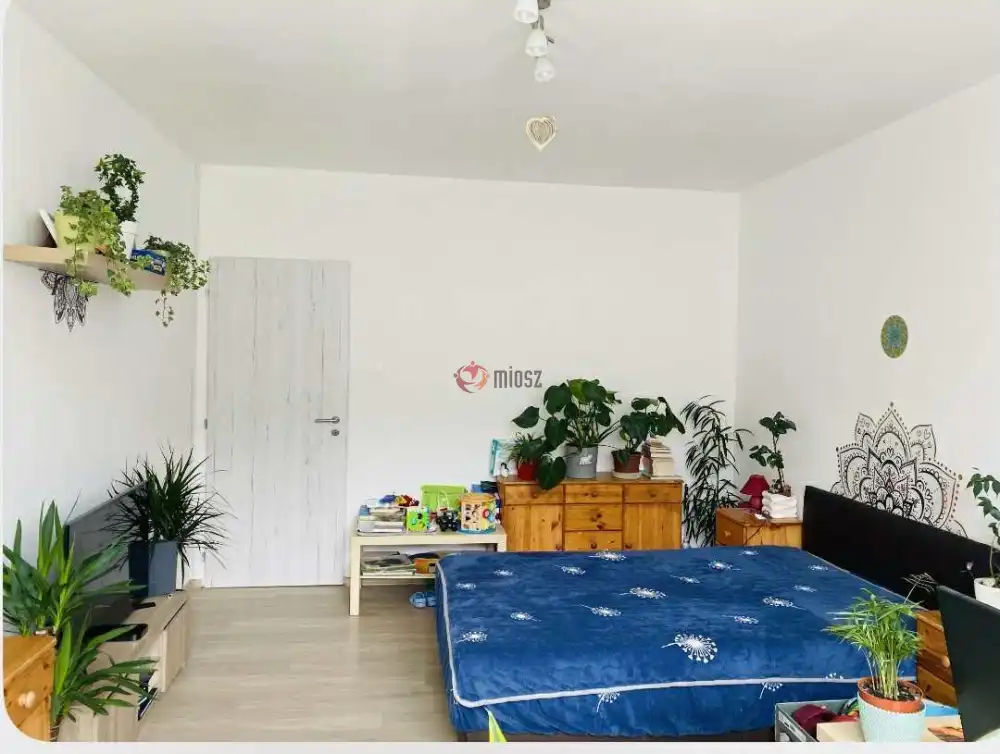 Komárom-Esztergom megye - Tatabánya