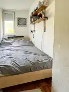 Komárom-Esztergom megye - Tatabánya