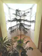 Komárom-Esztergom megye - Tatabánya