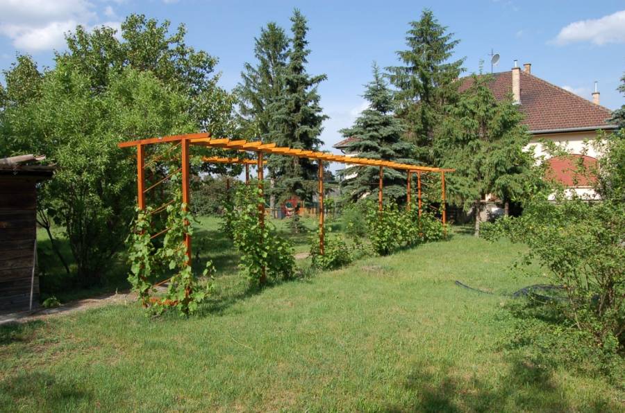 eladó téglalakás, Vác