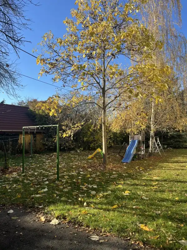 Eladó téglalakás, Veszprém 3 szoba 67 m² 64.9 M Ft