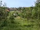 Pest megye - Ecser