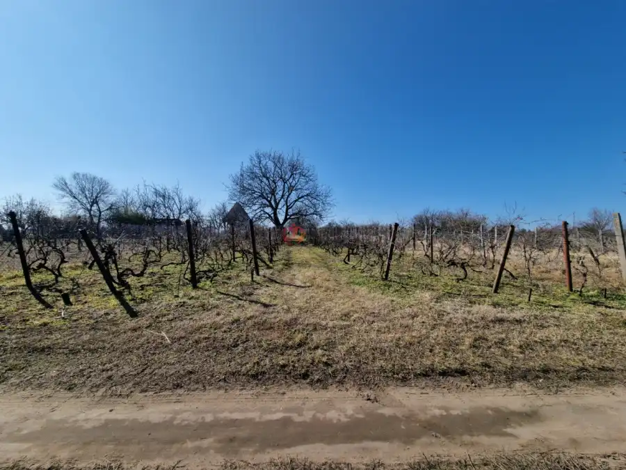 eladó  Üdülő, Hatvan