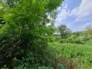 Pest megye - Isaszeg