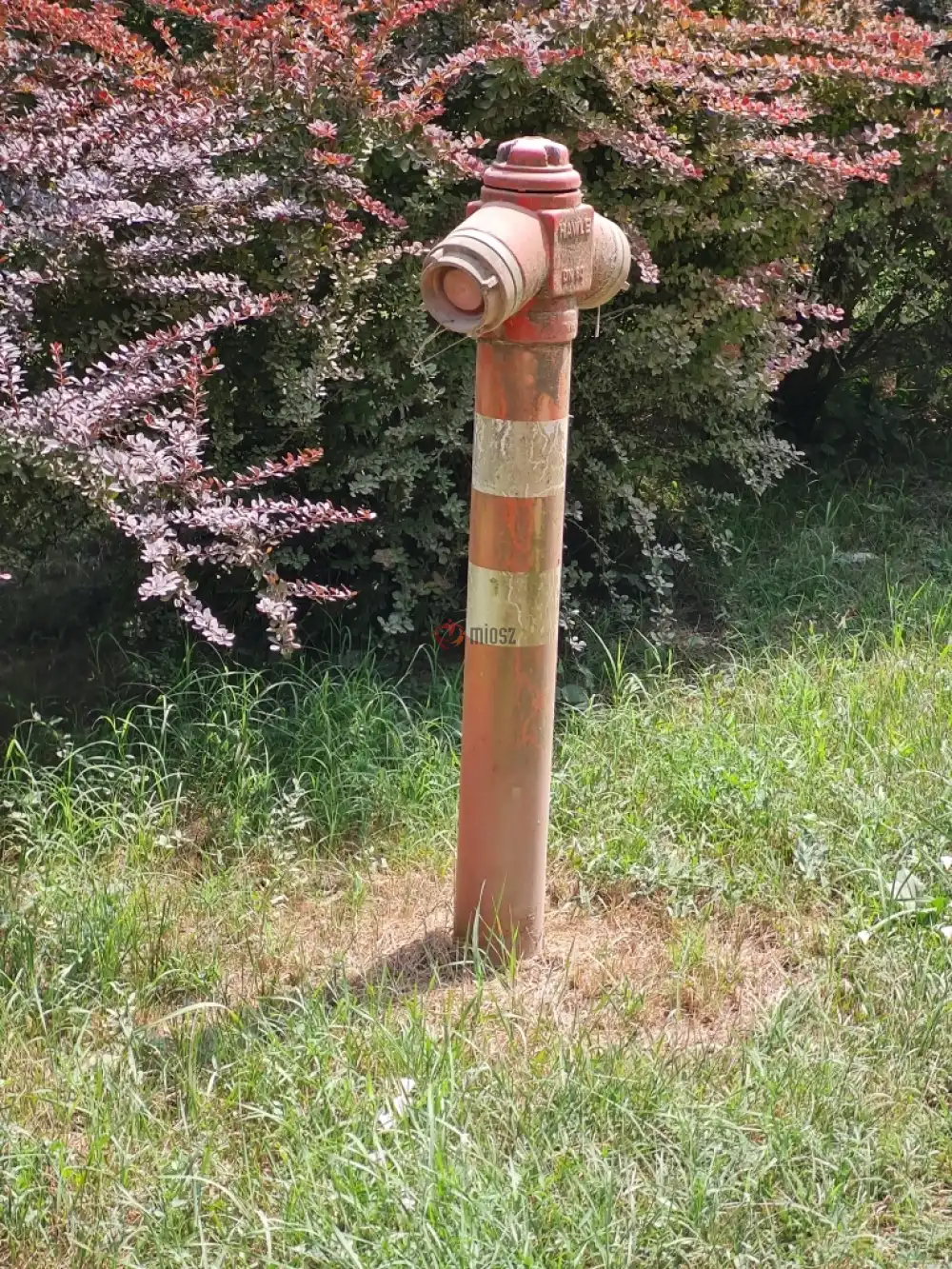 Pest megye - Isaszeg