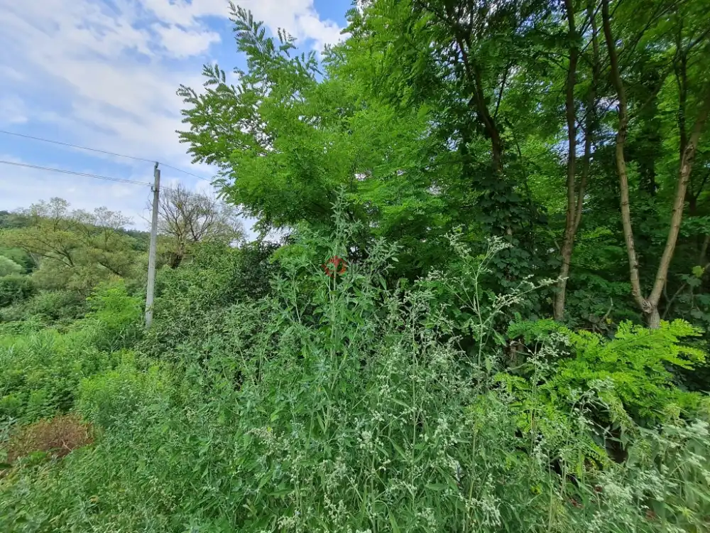 Pest megye - Isaszeg