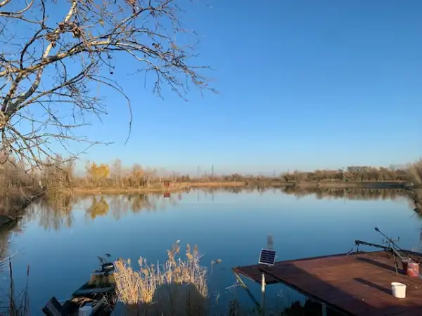 Eladó Üdülő, Majosháza 90000 m² 380 M Ft