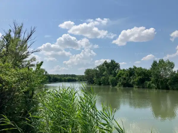 Eladó Üdülő, Mesterszállás 851 m² 6.9 M Ft