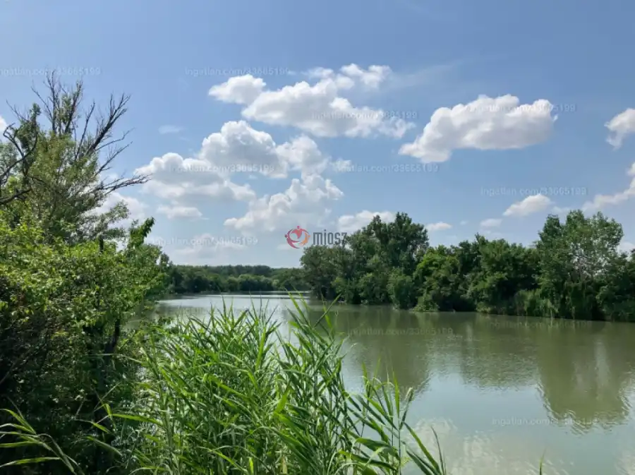 eladó  Üdülő, Mesterszállás