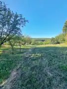 Borsod-Abaúj-Zemplén megye - Miskolc