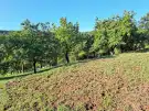 Borsod-Abaúj-Zemplén megye - Miskolc
