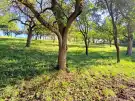 Borsod-Abaúj-Zemplén megye - Miskolc