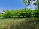 Pest megye - Pilis