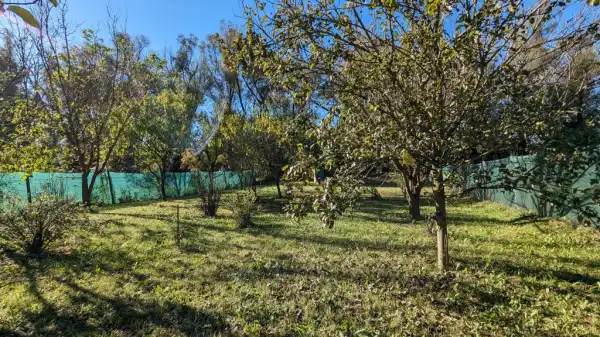 Eladó Üdülő, Pilisborosjenő 1159 m² 32 M Ft