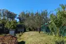 Pest megye - Pilisborosjenő