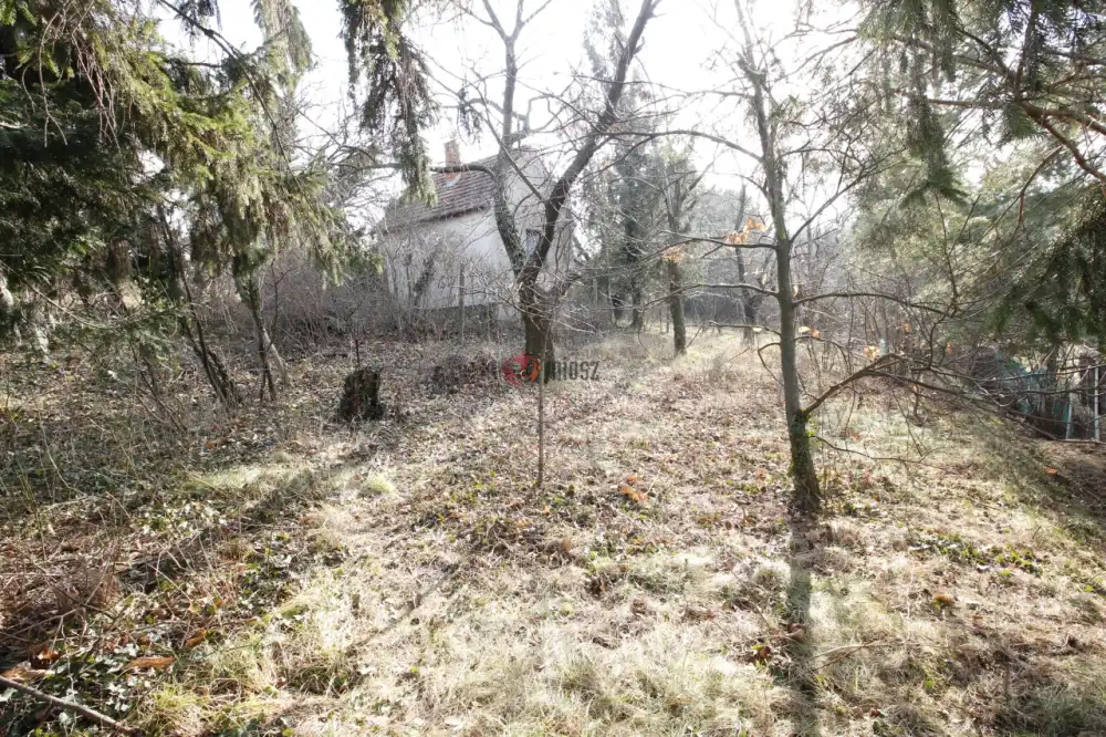 Győr-Moson-Sopron megye - Sopron