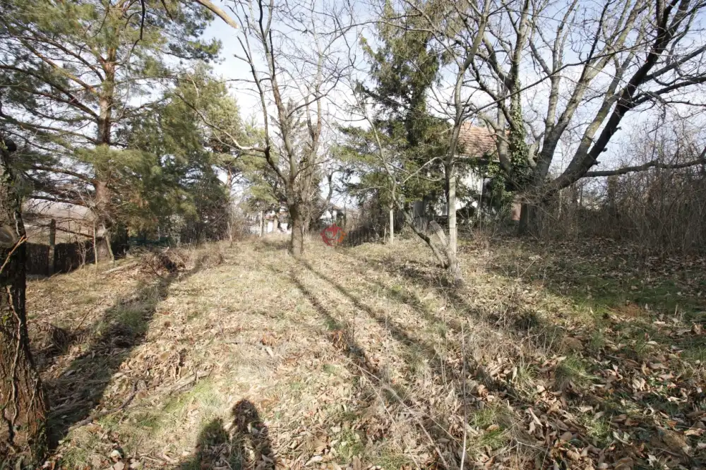 Győr-Moson-Sopron megye - Sopron