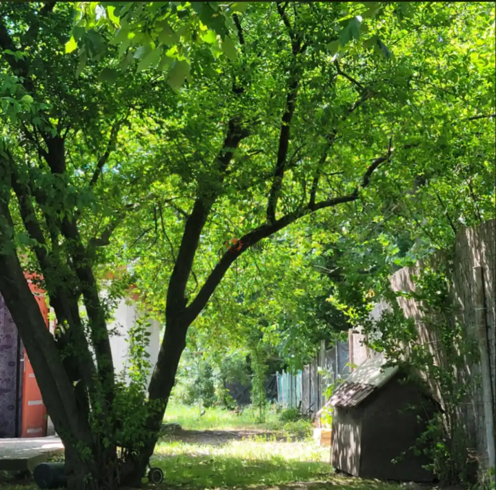 Pest megye - Szigetújfalu