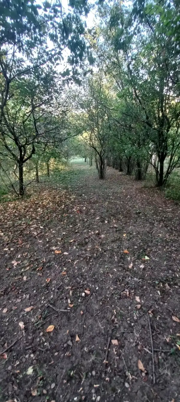 Eladó Üdülő, Tata 2550 m² 9.5 M Ft