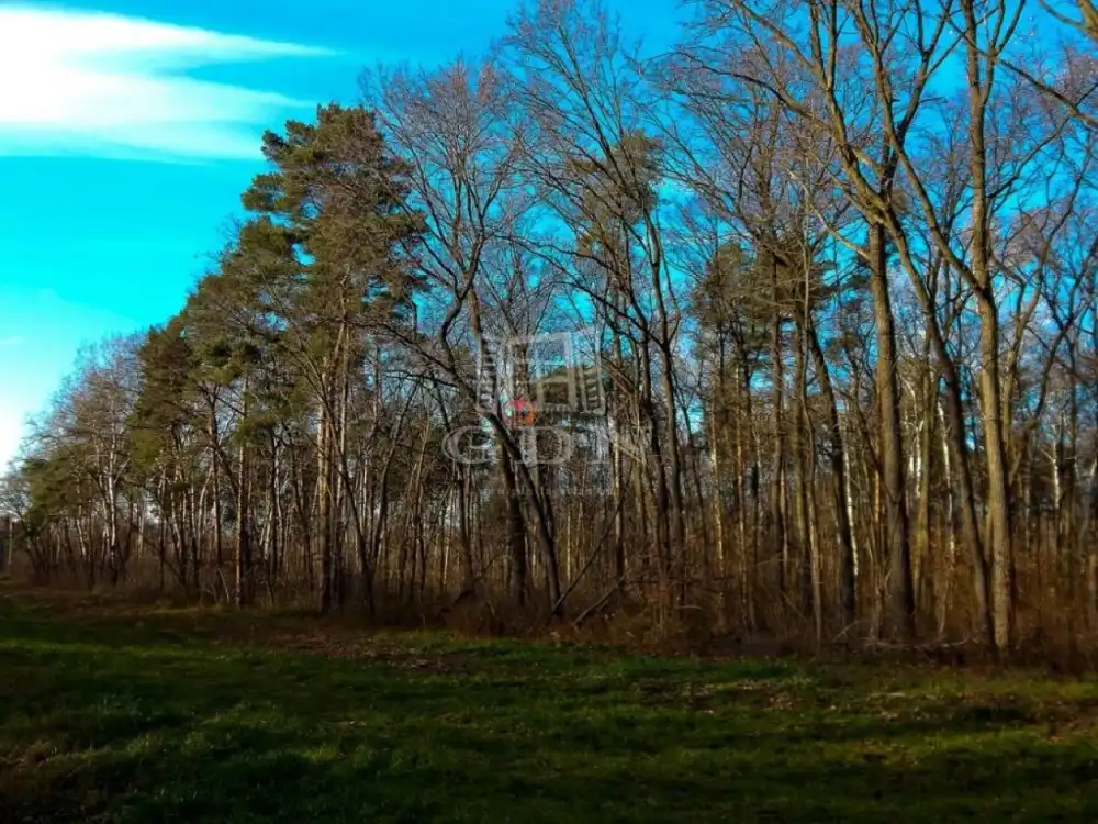 Pest megye - Tököl