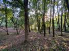 Pest megye - Verőce