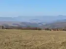 Pest megye - Verőce
