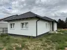Pest megye - Gomba