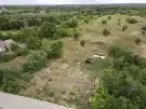 Pest megye - Gomba