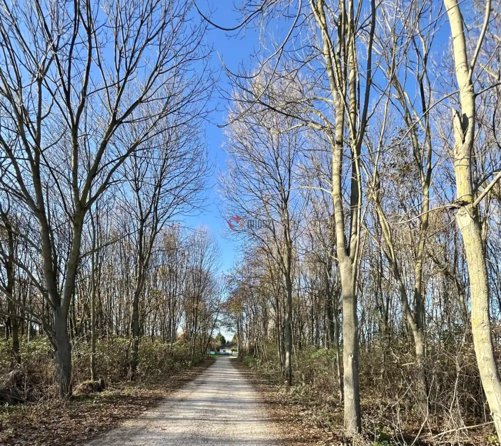 Fejér megye - Tordas