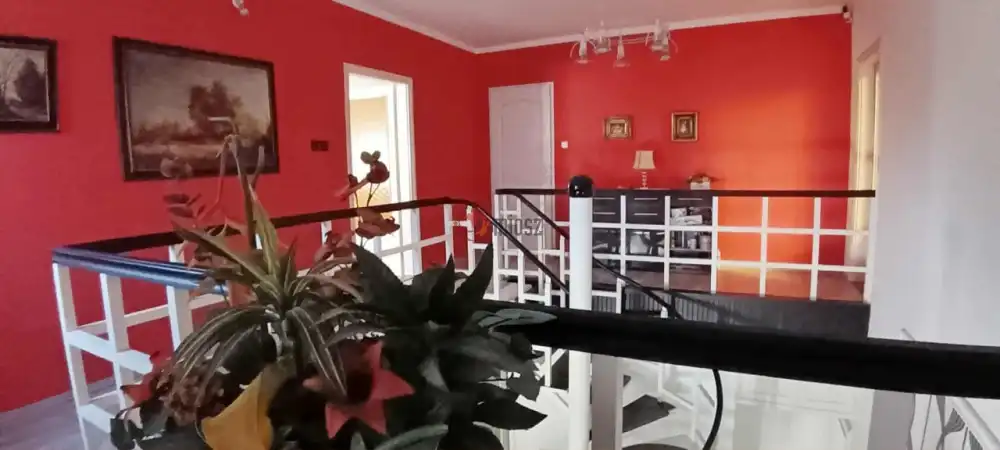 Bács-Kiskun megye - Baja