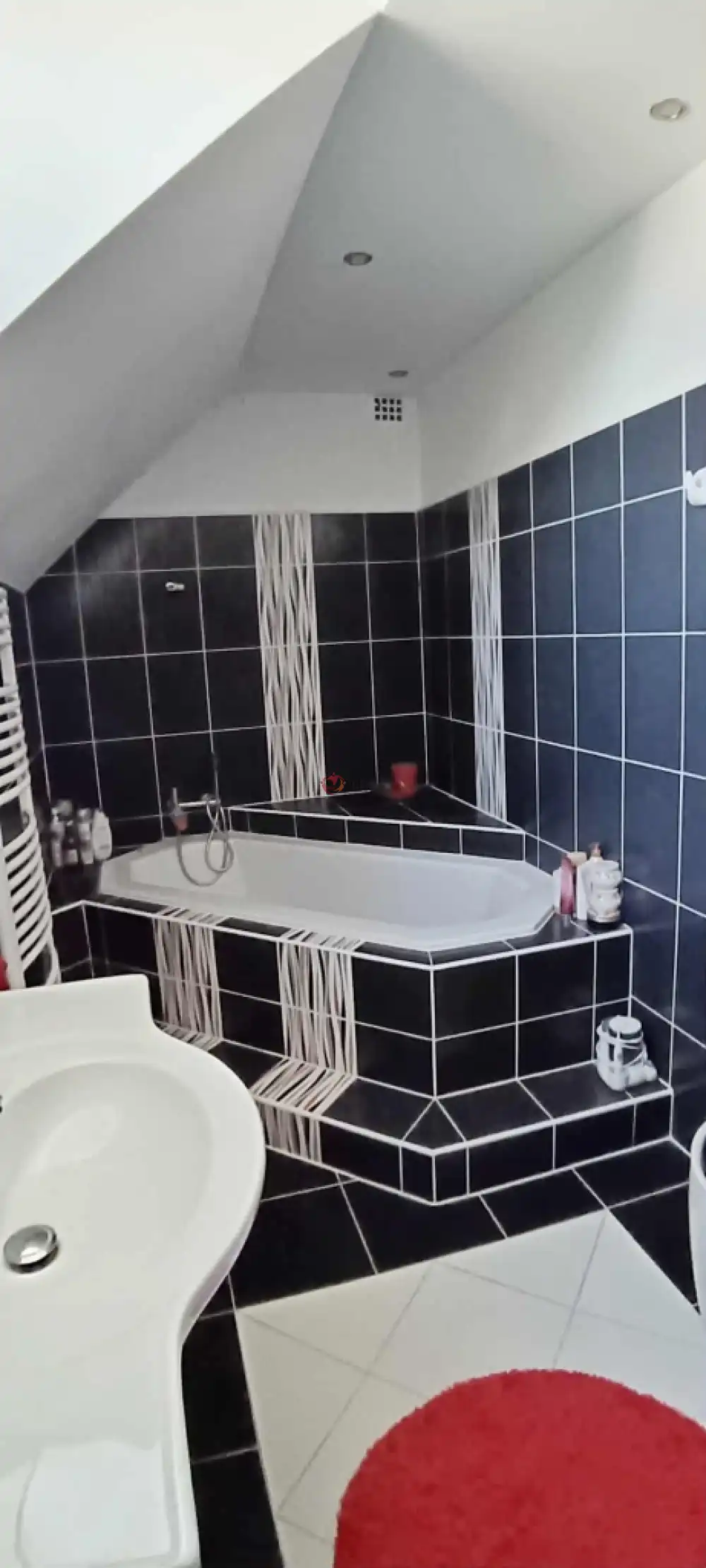 Bács-Kiskun megye - Baja