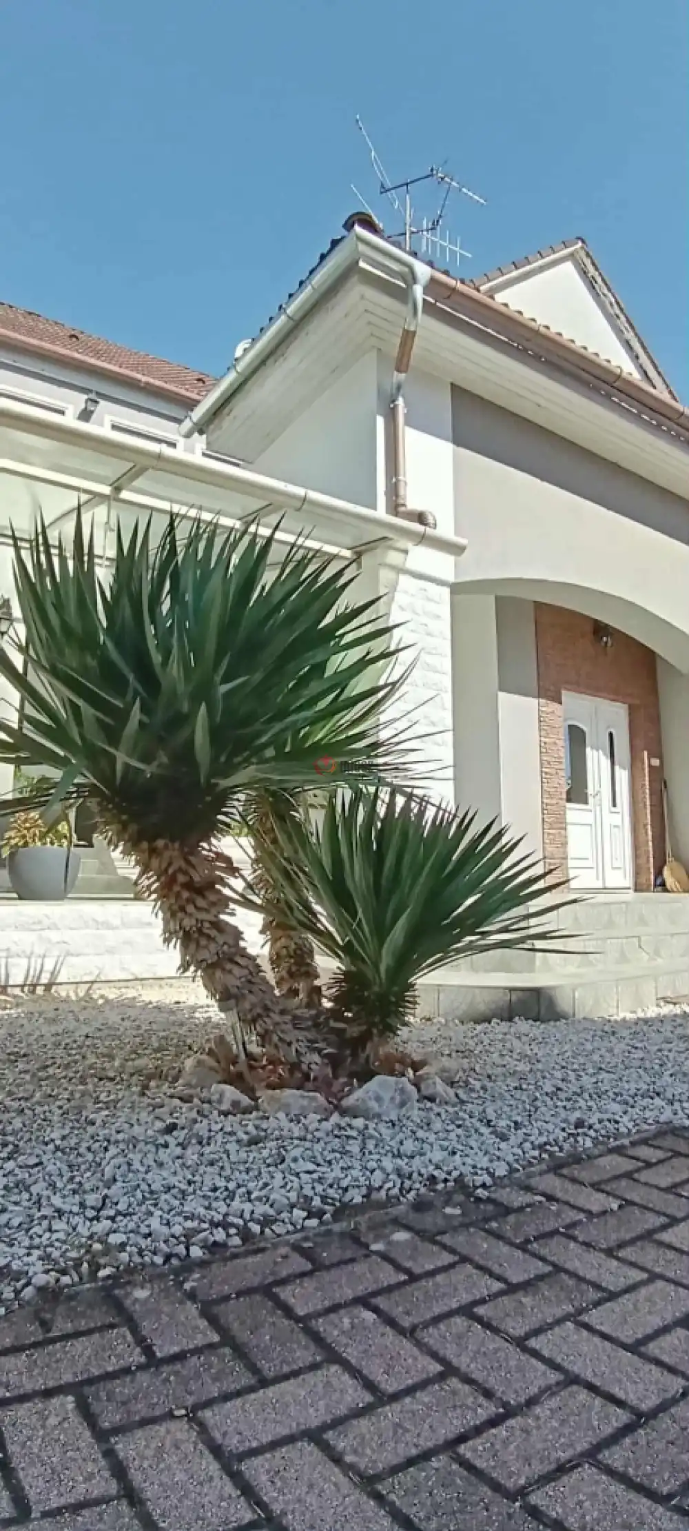 Bács-Kiskun megye - Baja