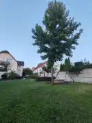 Pest megye - Csömör