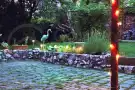 Borsod-Abaúj-Zemplén megye - Miskolc
