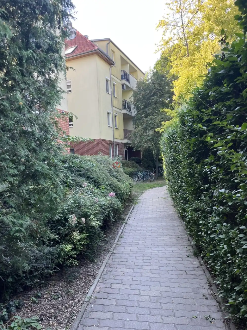 Pest megye - Dunaharaszti