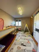 Csongrád megye - Szeged