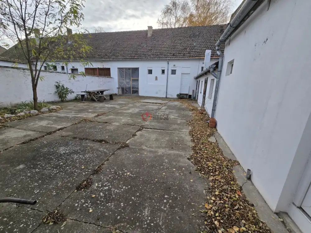 Bács-Kiskun megye - Madaras