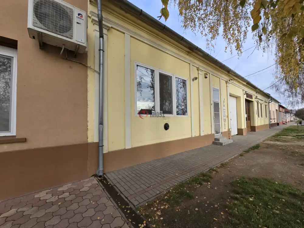 Bács-Kiskun megye - Madaras