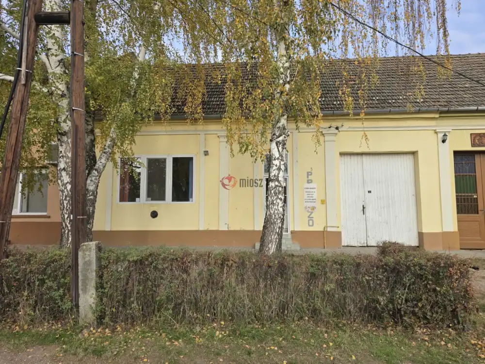 Bács-Kiskun megye - Madaras