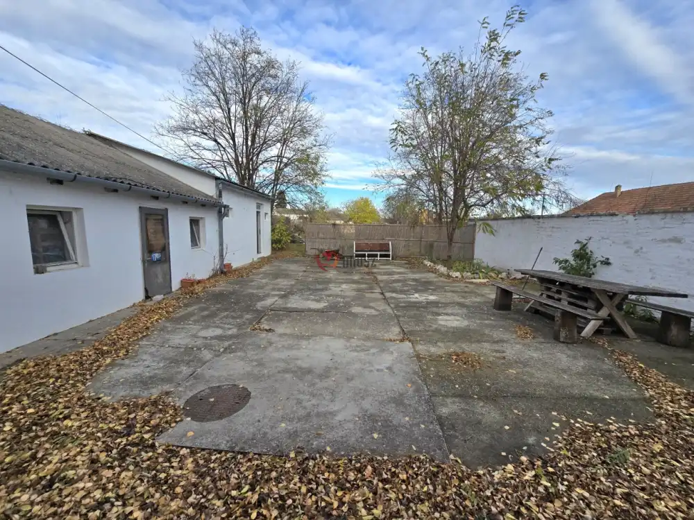 Bács-Kiskun megye - Madaras