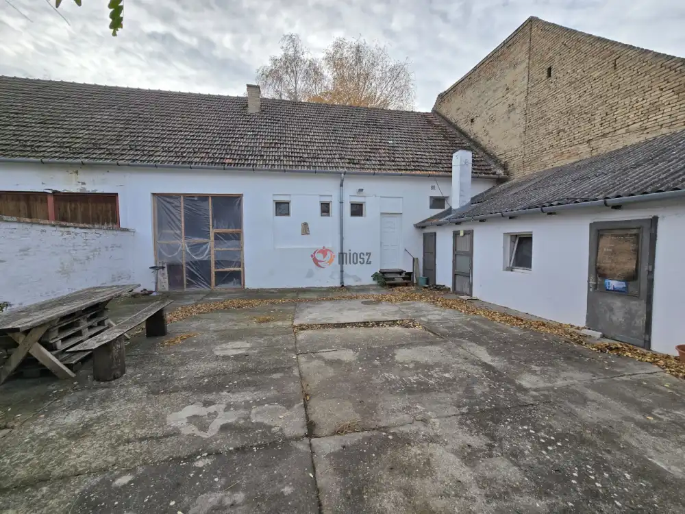 Bács-Kiskun megye - Madaras