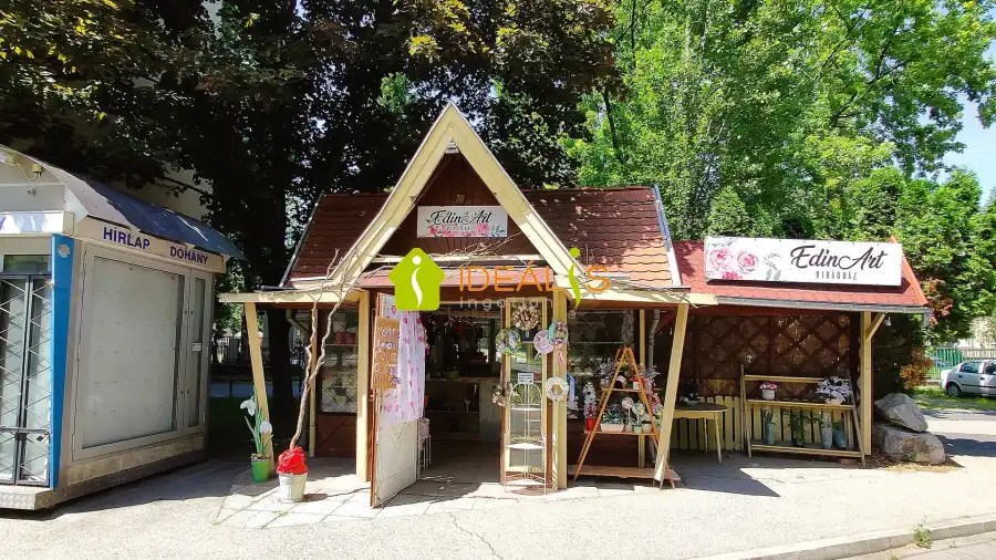 eladó üzlethelyiség utcai bejáratos, Győr