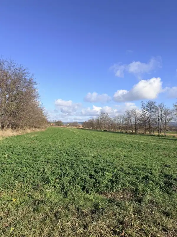 Kiadó Építési telek, Tata 3400 m² 200 E Ft/hó