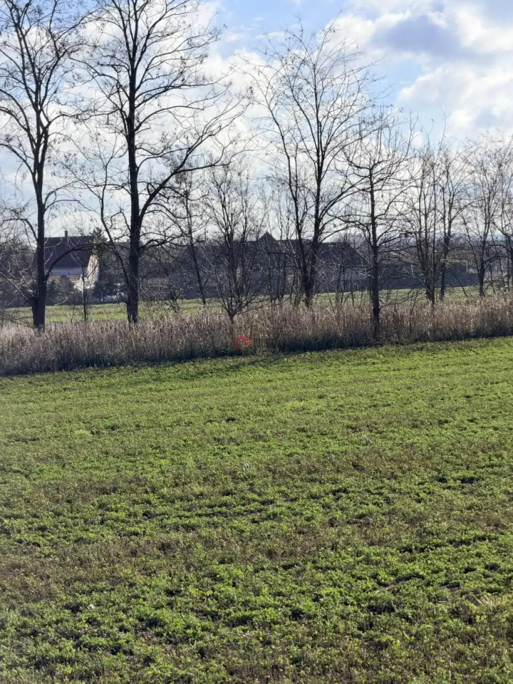 Komárom-Esztergom megye - Tata