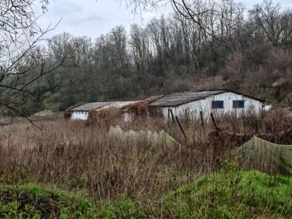 Kiadó Üdülő, Pécel 2877 m² 420 E Ft/hó