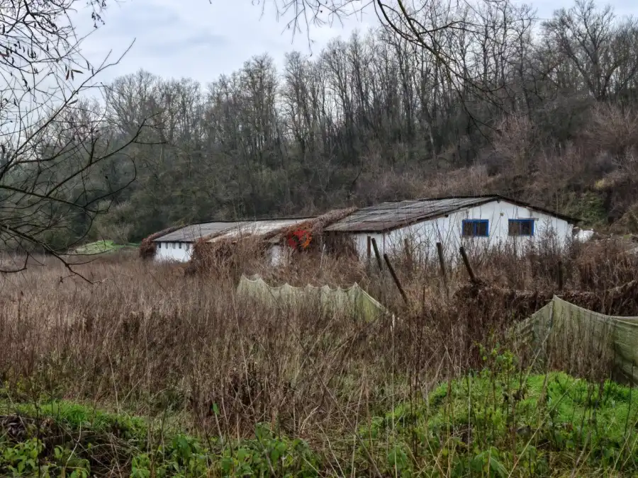 kiadó  Üdülő, Pécel
