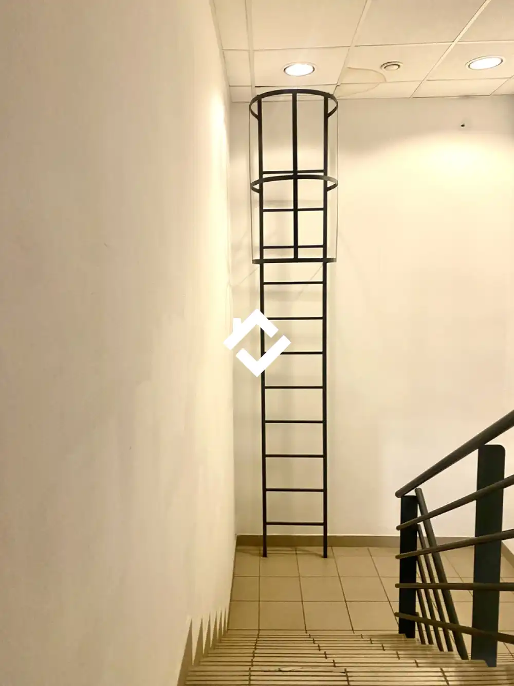 Budapest, X. kerület - Ligettelek
