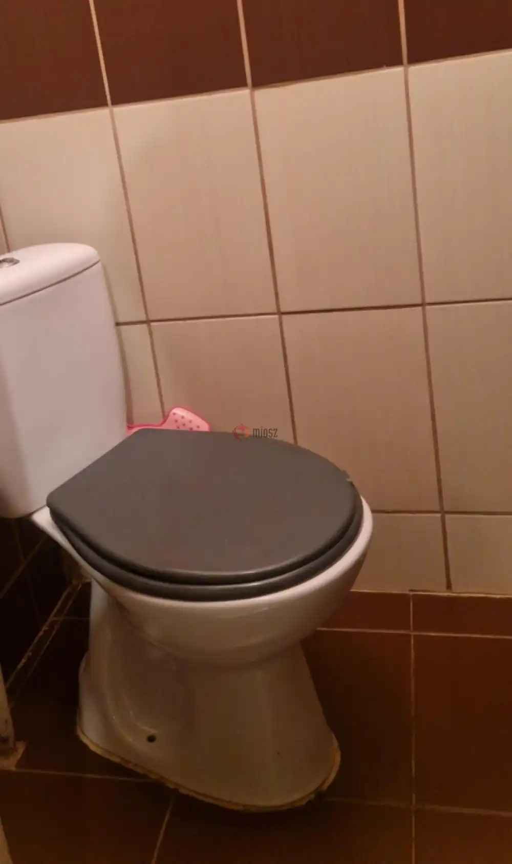 Csongrád megye - Földeák