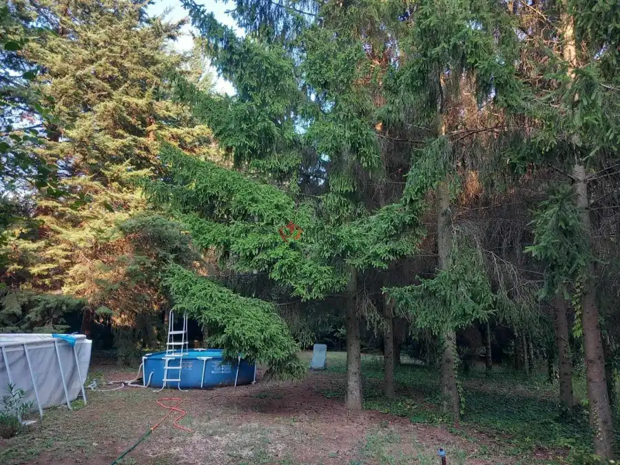 eladó  Építési telek, Budakeszi